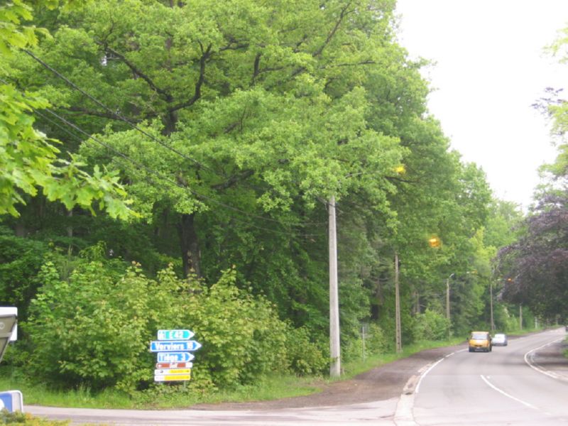 Spa - Hockenheim 006